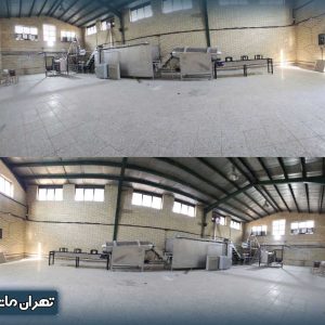 هزینه ی راه اندازی خط تولید غذای سگ و گربه