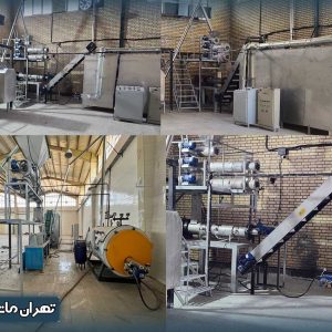 هزینه راه اندازی خط تولید غذای سگ (خانگی و صنعتی)
